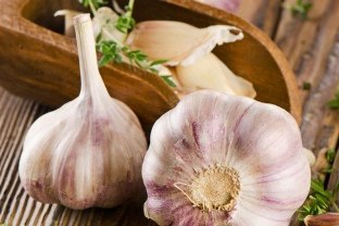 Remedies based on garlic